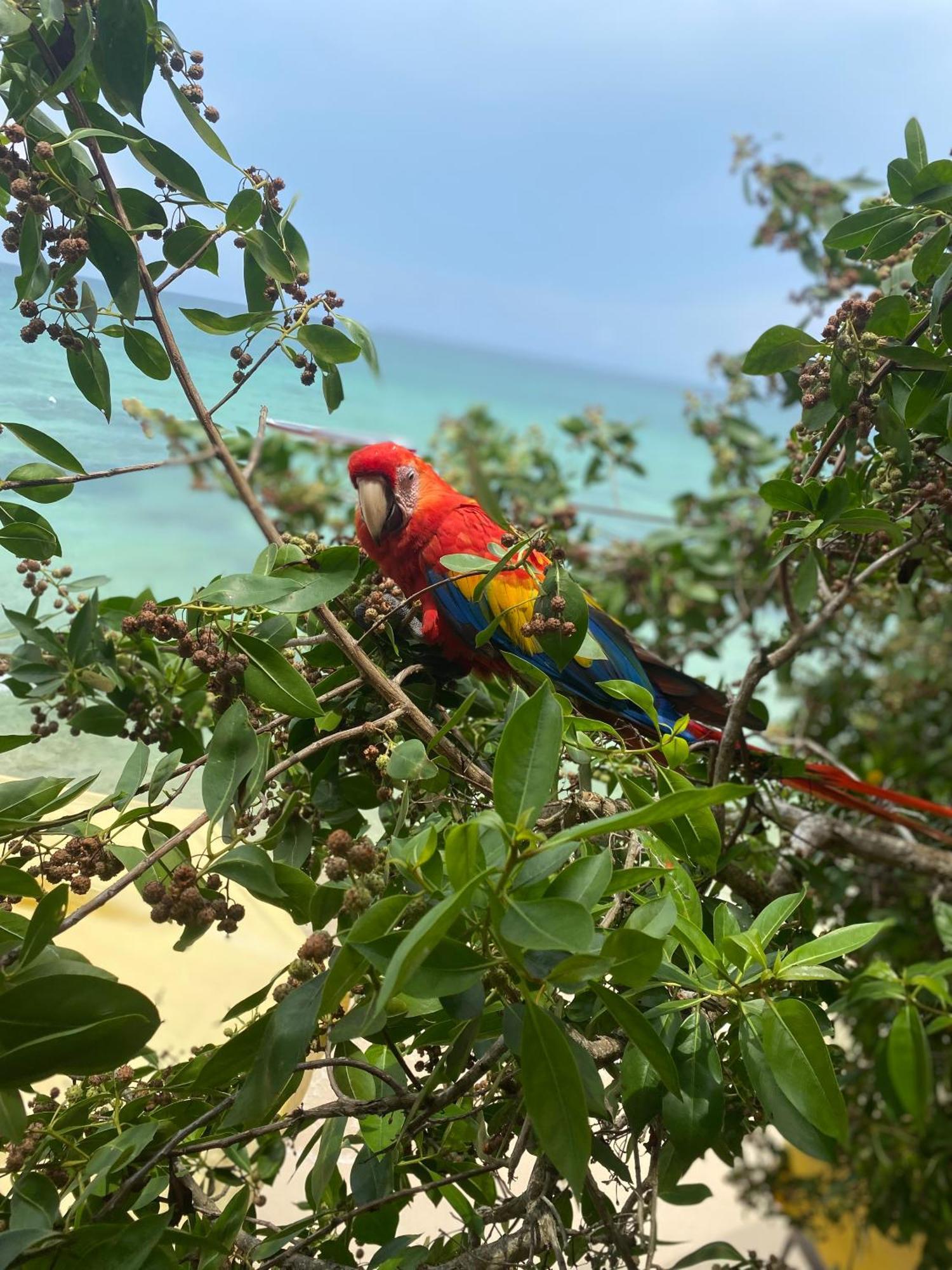 Posada Shekinah Playa Blanca Bagian luar foto